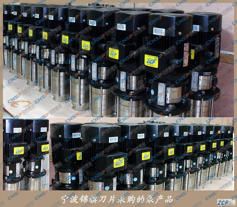 寧波錦旗刀片向我廠采購一批多級(jí)泵